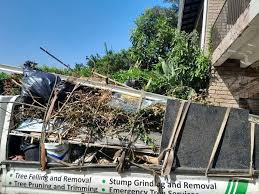 Best Foreclosure Cleanout  in Robinson, IL